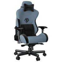 Кресло игровое Andaseat T-Pro 2 голубой/черный (AD12XLLA-01-SB-F)