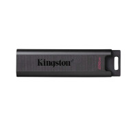Флеш-диск Kingston DTMAX/256GB