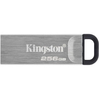 Флеш-диск Kingston DataTraveler DTKN/256GB