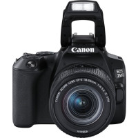 Зеркальный фотоаппарат Canon EOS 250D черный (3454C002)
