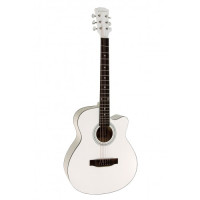 Акустическая гитара Elitaro E4020C WH
