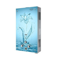 Газовый проточный водонагреватель Oasis Glass 20 SG