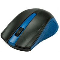 Мышь Ritmix RMW-555 синий
