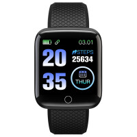 Смарт-часы Digma Smartline H2 1.3 TFT черный (H2B)
