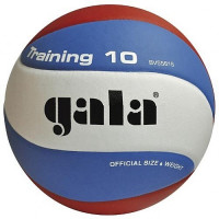 Мяч волейбольный Gala Training BV5561S