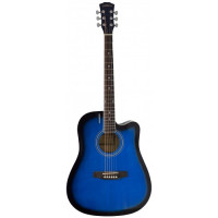 Акустическая гитара Elitaro E4110C BLS