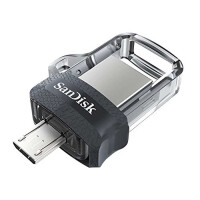 Флеш-диск Sandisk SDDD3-256G-G46 черный