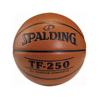 Баскетбольный мяч Spalding TF-250 All Surf 74-532