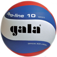 Мяч волейбольный Gala Pro-Line BV5121S