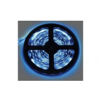 Светодиодная лента Ecola P2LB05ESB синий