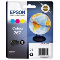 Картридж Epson C13T26704010