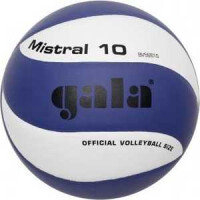 Мяч волейбольный Gala Mistral BV5661S