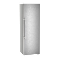 Холодильник Liebherr RBsdd 5250-20 001