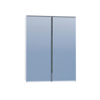 Зеркальный шкаф Vigo Grand 55 (4-550)