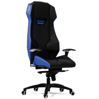 Кресло игровое WARP Ze WZ-2BLE черный/синий