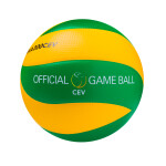 Мяч волейбольный Mikasa MVA 200 CEV 1/36