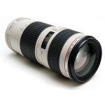 Объектив Canon EF 70-200mm f/4L USM (2578A009)