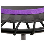 Батут BaseFit TR-501 (101 см) фиолетовый