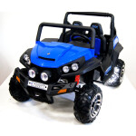Электромобиль RiverToys Buggy T009TT 4WD Blue