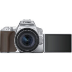 Зеркальный фотоаппарат Canon EOS 250D серебристый (3461C001)