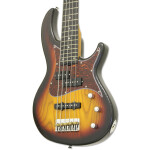 Бас-гитара Aria 313-MK2/5 OPSB