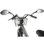 Трицикл Green City e-ALFA Trike черный-2515