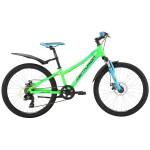 Велосипед Centurion 2018 R Bock 24-D 24 One Size Light Green