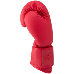 Перчатки боксерские Fight Expert BGS-V010 10 oz красный