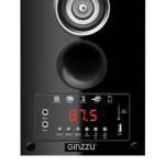 Напольная акустическая система Ginzzu GM-301