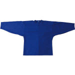Форма Atemi Рубашка тренировочная, синий, (L), Размер, 52