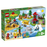 Конструктор Lego Duplo Town Животные мира (10907)