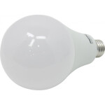Лампа светодиодная Smartbuy A95-25W/4000/E27