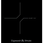 Настольная плита Zigmund & Shtain ZIP-558
