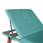 Массажный стол DFC Nirvana Relax Pro TS3021 зеленый