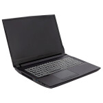 Ноутбук Hiper G16 (G16RTX3070B11700W11)