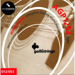 Струны для акустической гитары Galli Strings AGP1253