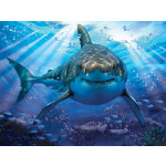 Пазл Prime 3D Большая белая акула 10048