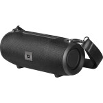 Портативная акустика Defender Enjoy S900 черный (65903)