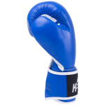 Перчатки боксерские KSA Wolf 8 oz blue