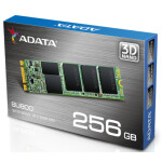 Твердотельный накопитель SSD A-Data SU800 (ASU800NS38-256GT-C)