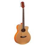 Акустическая гитара Colombo LF-401С/N