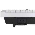 Цифровое пианино Tesler STZ-8800 WHITE