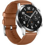 Умные часы Huawei Watch GT 2 (LTN-B19) Pebble Brown