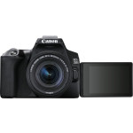 Зеркальный фотоаппарат Canon EOS 250D черный (3454C002)
