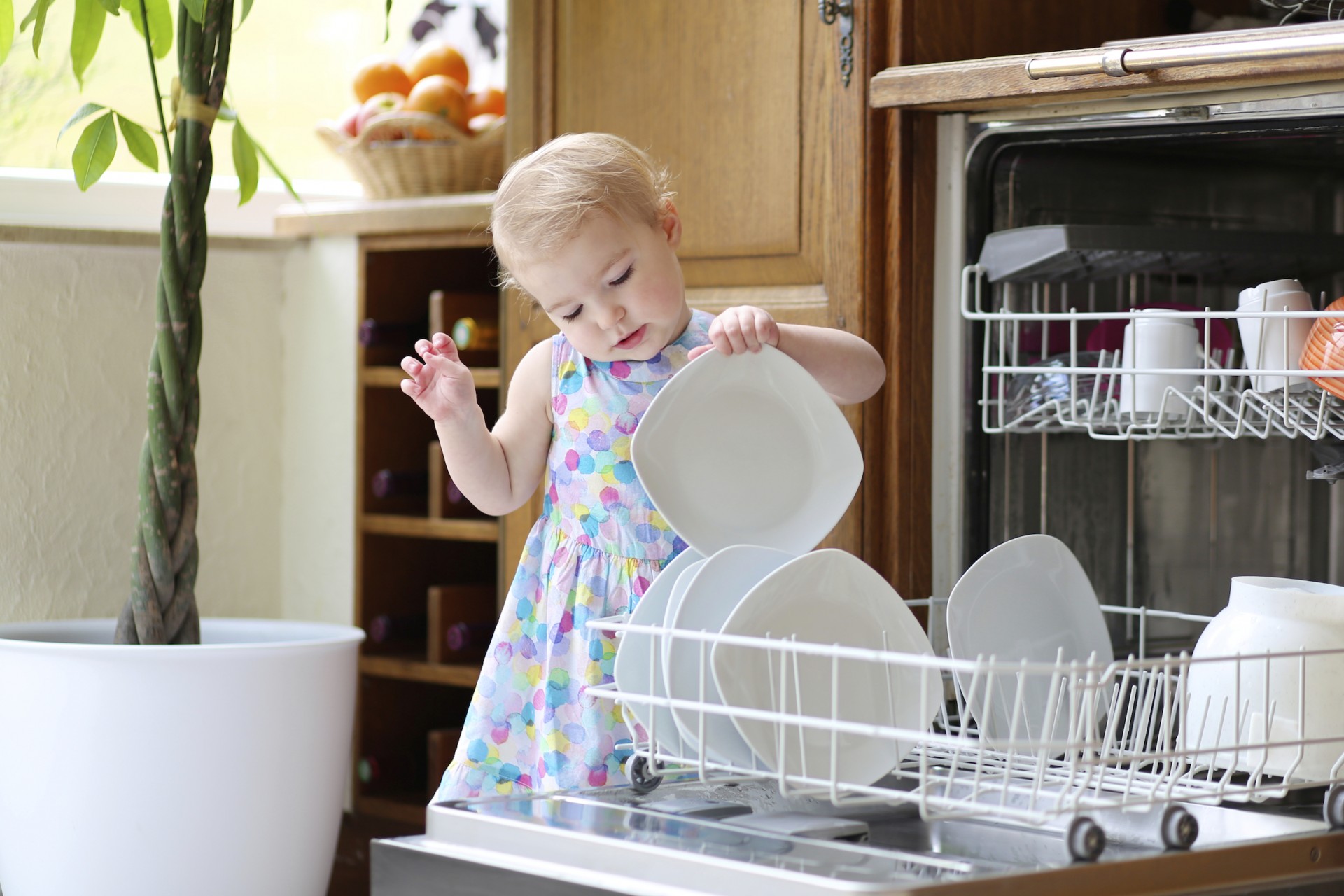 защита в посудомоечной машине